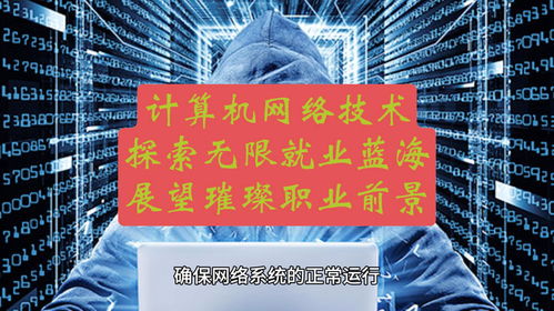 計算機(jī)網(wǎng)絡(luò)技術(shù) 探索無限就業(yè)藍(lán)海，展望璀璨職業(yè)前景