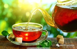 每天飲茶量專業(yè)指南 健康飲茶的科學建議